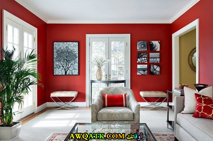 غرفة معيشة باللون الأحمر رائعة