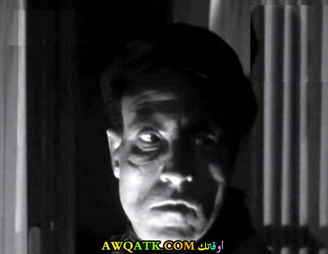 صورة رائعة للفنان كامل أنور