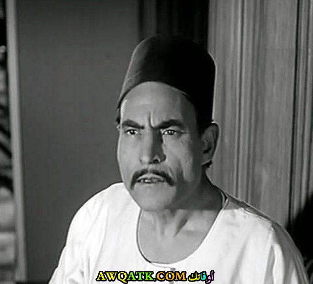 الفنان كامل أنور