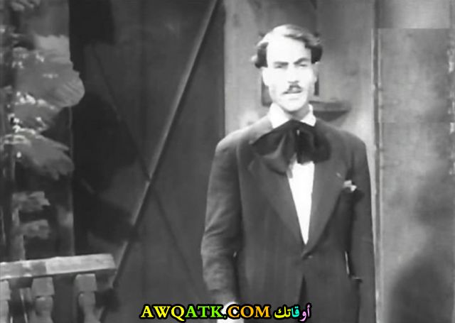 صورة للفنان كامل أنور