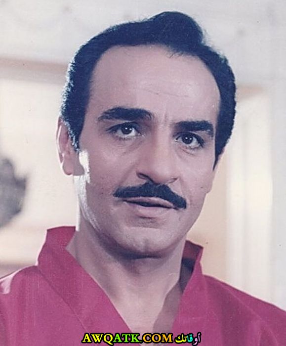 صورة للفنان مجدي وهبة