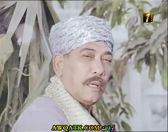 محمد أبو حشيش