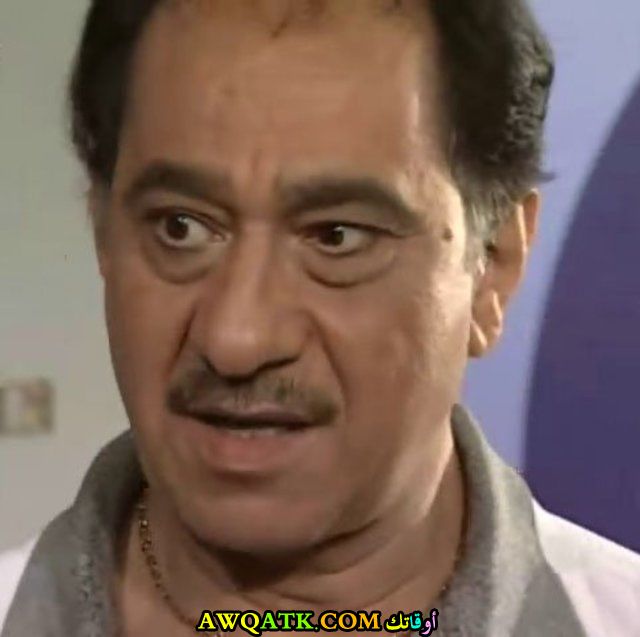 محمد أبو داوود