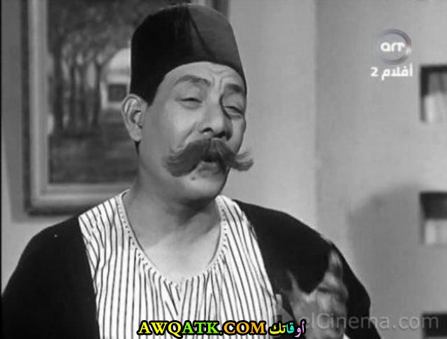الفنان محمد التابعي 