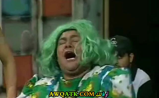 الفنان محمد الشرقاوي