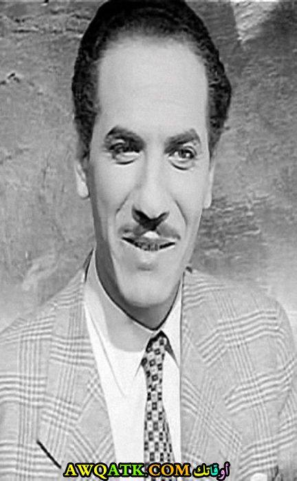 محمد الطوخي