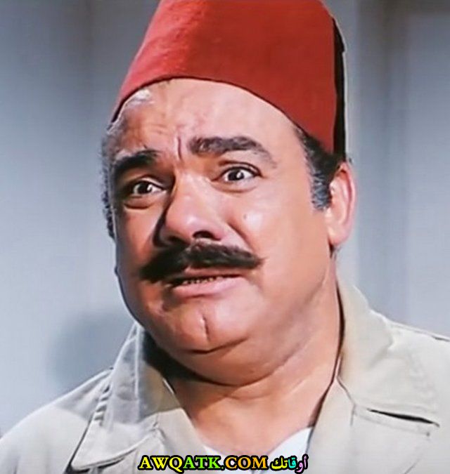 صورة جميلة للفنان الجميل محمد رضا