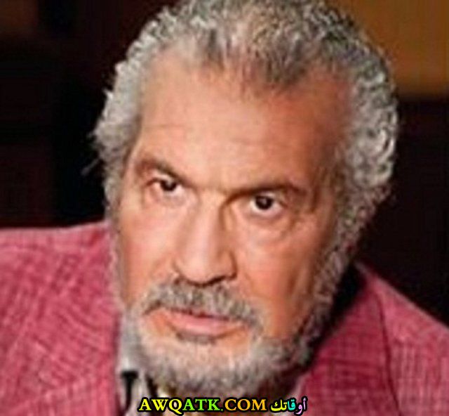 الفنان محمد عبد المعطي 