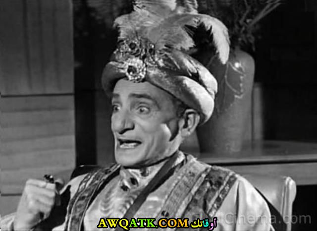 محمد كمال المصري