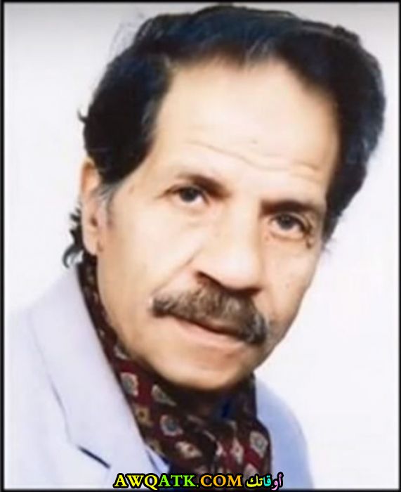 الفنان محمد يوسف 