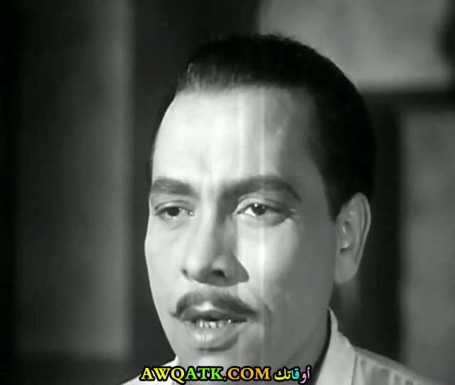 الفنان محمود إسماعيل