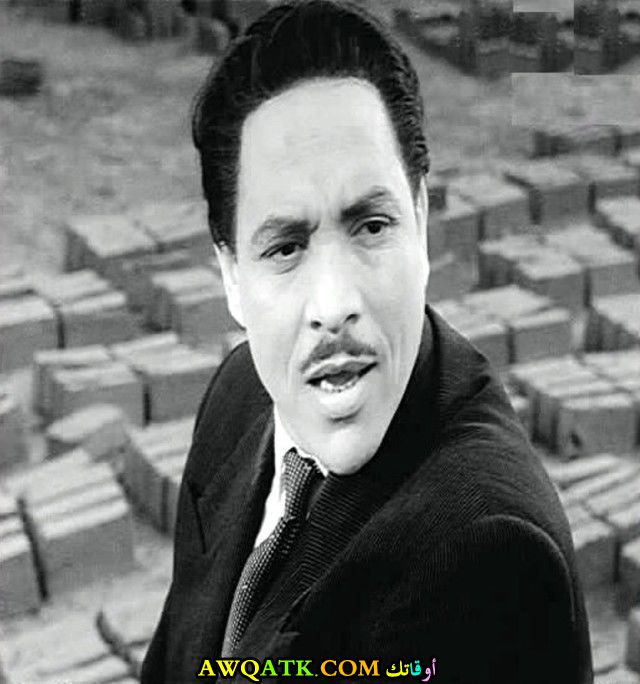 صورة للفنان محمود إسماعيل