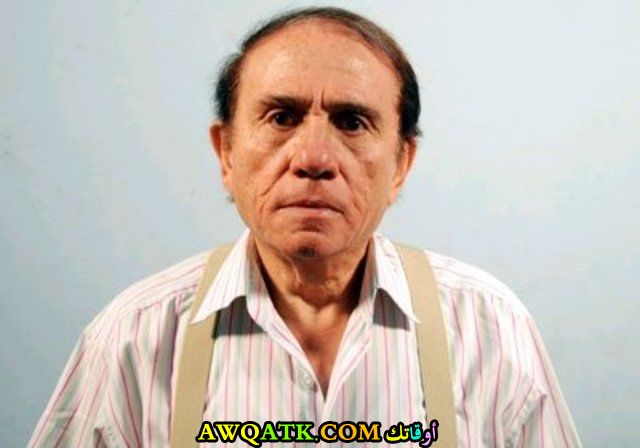 الفنان محمود الحديني