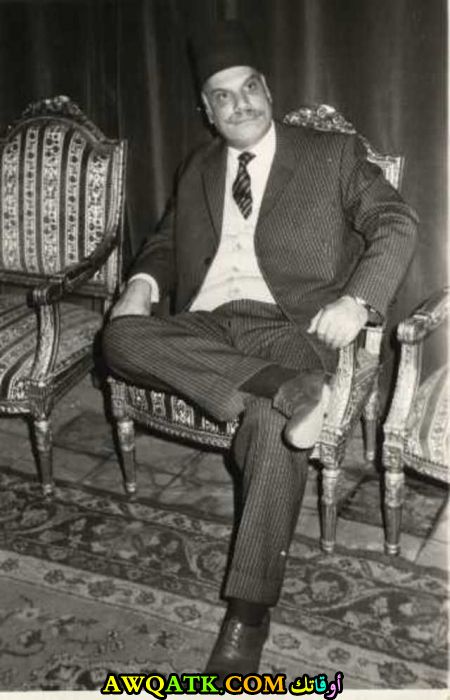محمود الزهيري