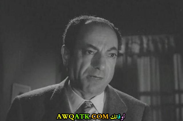 محمود السباع