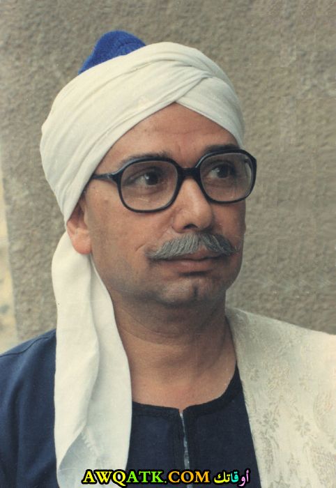 محمود الشاذلي