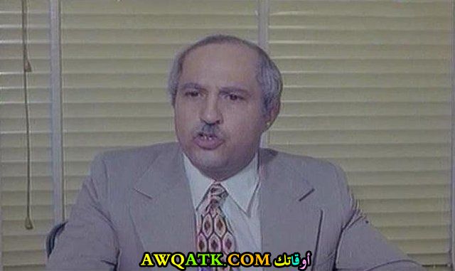 صورة للفنان محمود القلعاوي