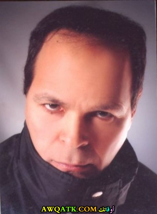 محمود عامر
