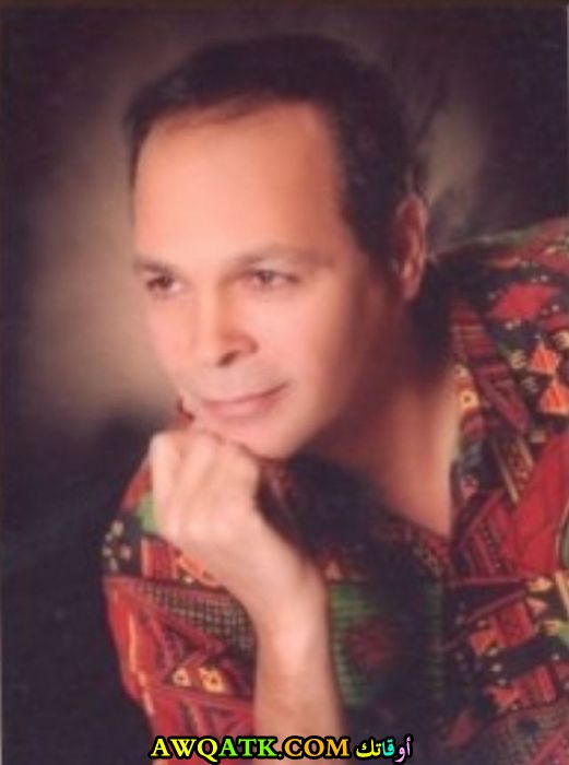 الفنان محمود عامر