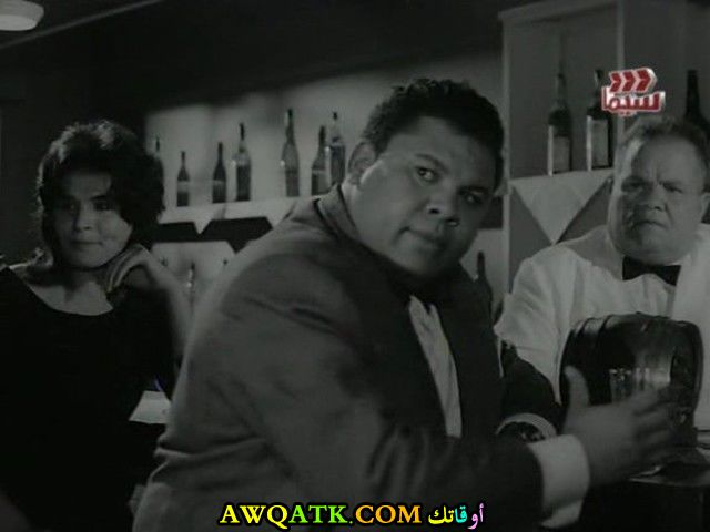 الفنان محمود فرج 