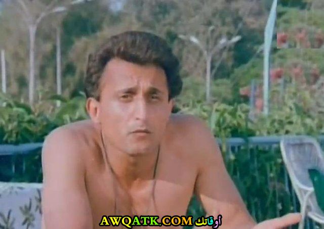 محمود مسعود