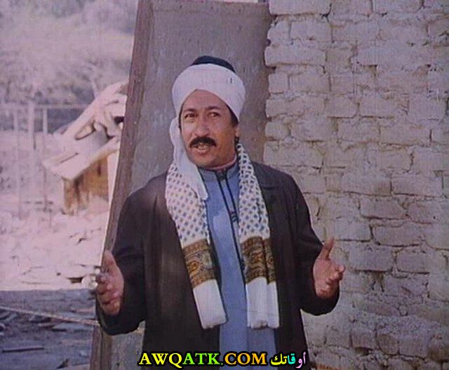 الفنان محي الدين عبد المحسن 