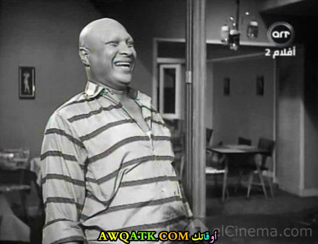 صورة رائعة للفنان نصر سيف 