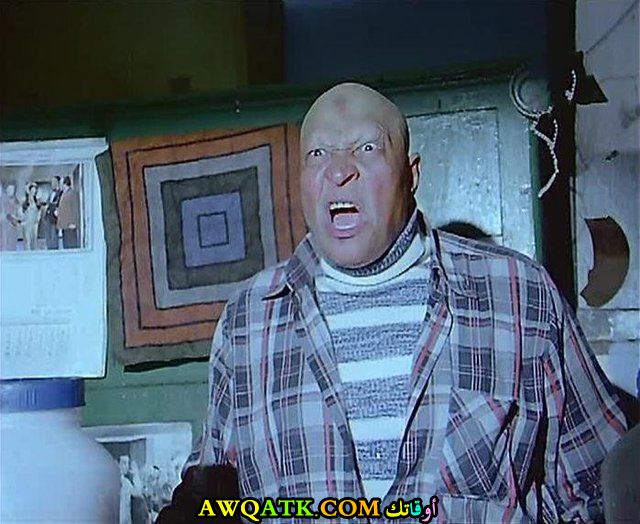 الفنان نصر سيف 