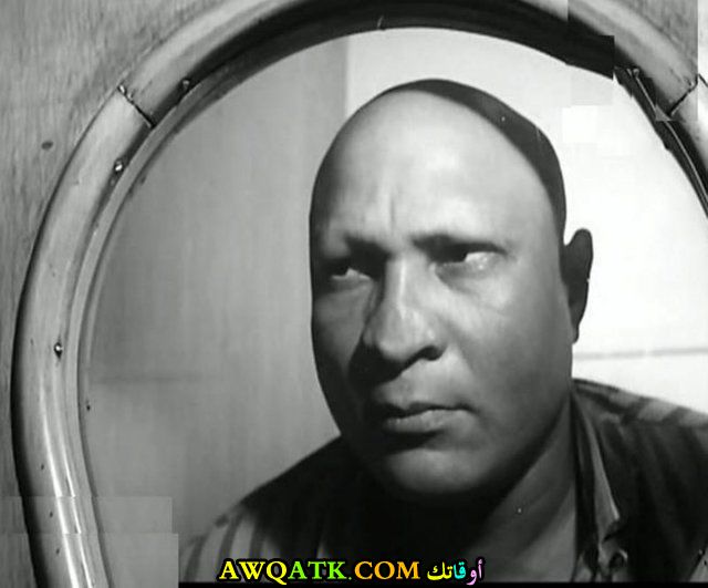 صورة الفنان المصري نصر سيف صورة جميلة وروعة