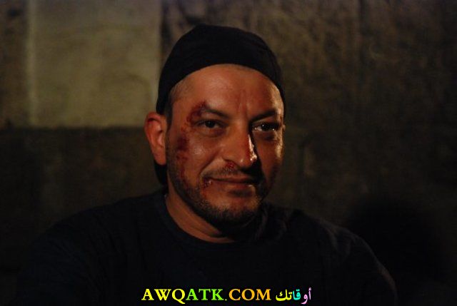 الفنان هشام المليجي 