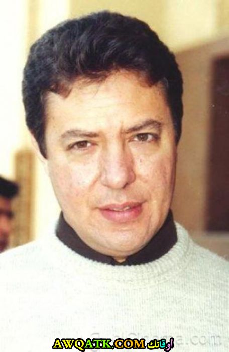 صورة رائعة للفنان هشام عبد الحميد 