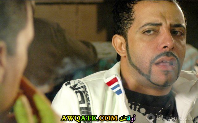 الفنان وائل علاء 