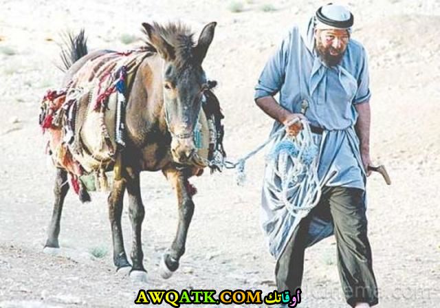 الممثل أنور خليل