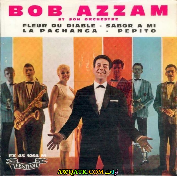 بوستر للفنان المصري بوب عزام