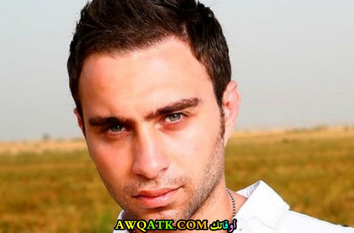 حسام حبيب