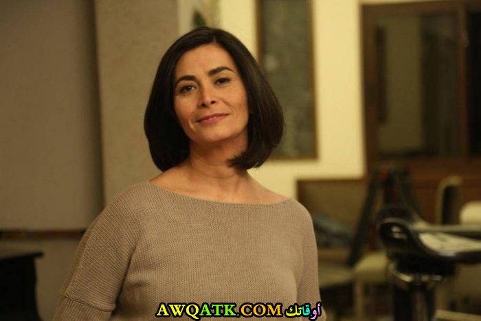 دارينا الجندي