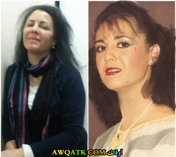 أجمل صورة للفنانة داليدا رحمة