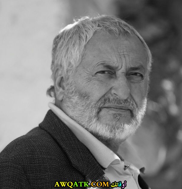 صورة للفنان نديم صوالحة 