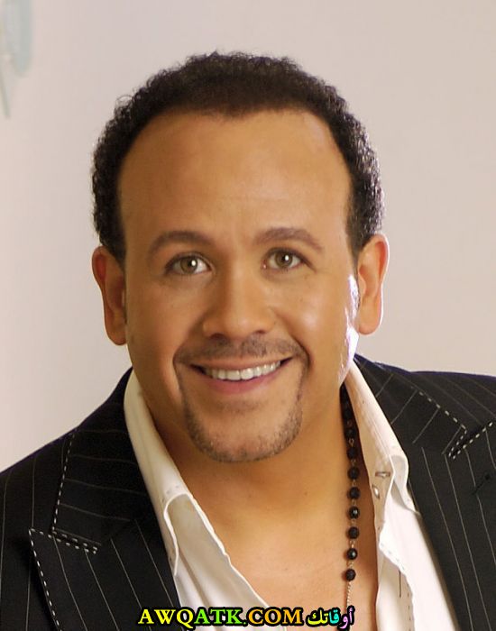 الفنان هشام عباس