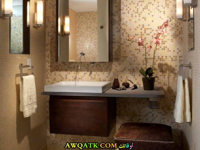 ديكورات حمامات فنادق خمس نجوم فخمة في دبي تركيا ماليزيا