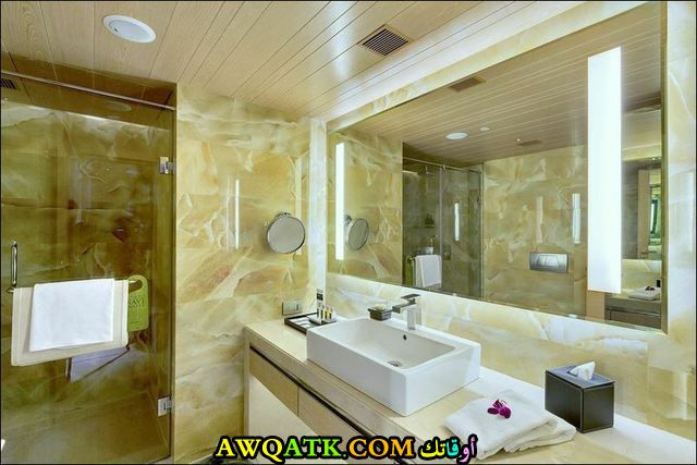 ديكورات حمامات فنادق خمس نجوم فخمة في دبي تركيا ماليزيا