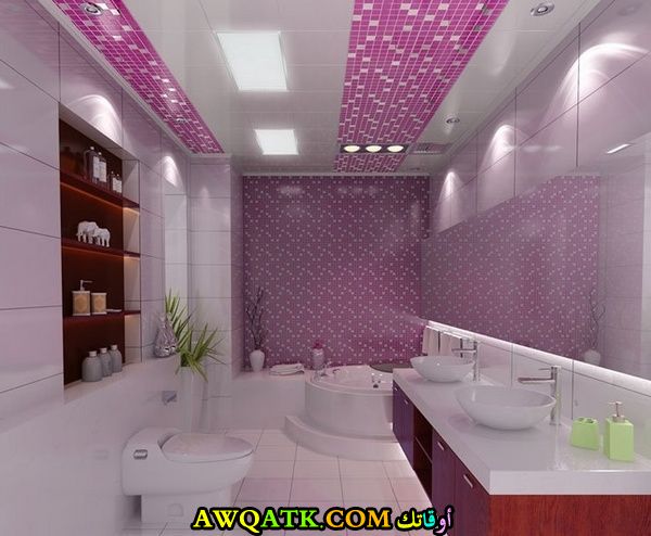 ديكورات حمامات باللون البنفسجي و العنابي