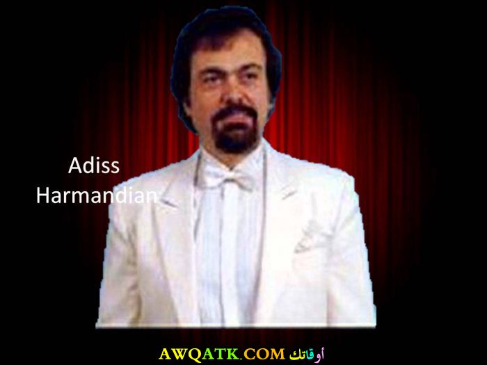 صورة أديس هارمنديان