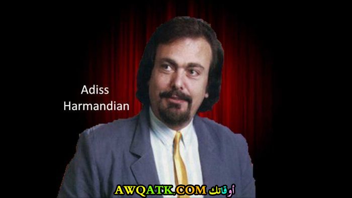 الفنان أديس هارمنديان