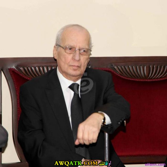 المغني إيلي شويري