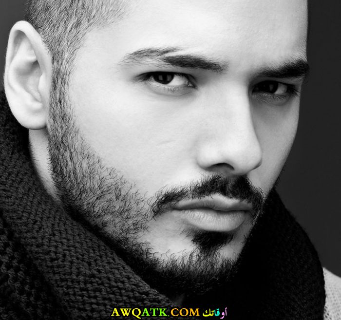 صورة رائعة للفنان رامي عياش