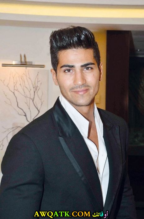 الفنان ربيع الزين