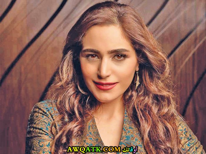 الفنانة عبير نعمة