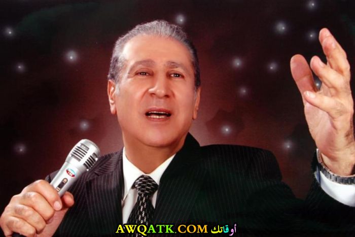 مروان محفوظ