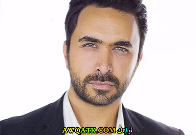 الفنان نادر الأتات
